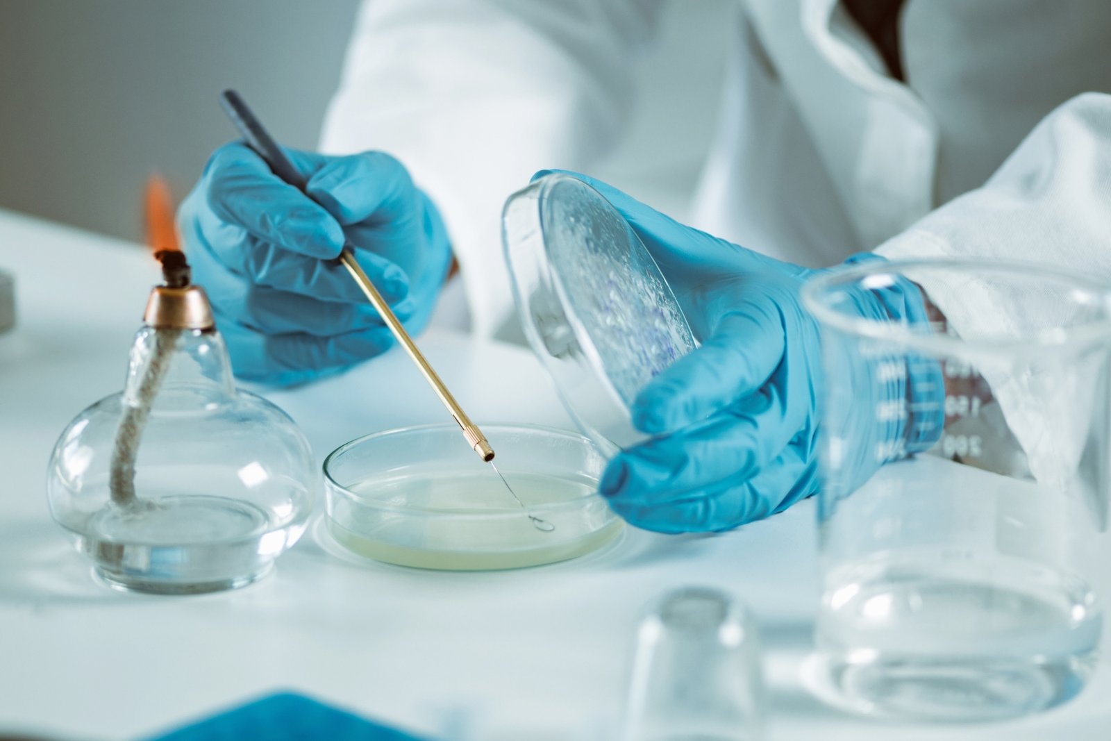 Laboratorio de Microbiología